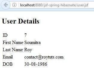 Jsf Spring Hibernate User 1