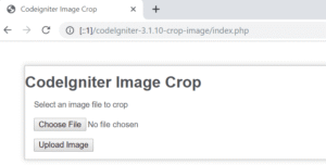 Upload and Crop Image using Codeigniter - Roy Tutorials