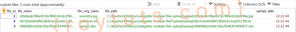 codeigniter multiple files upload