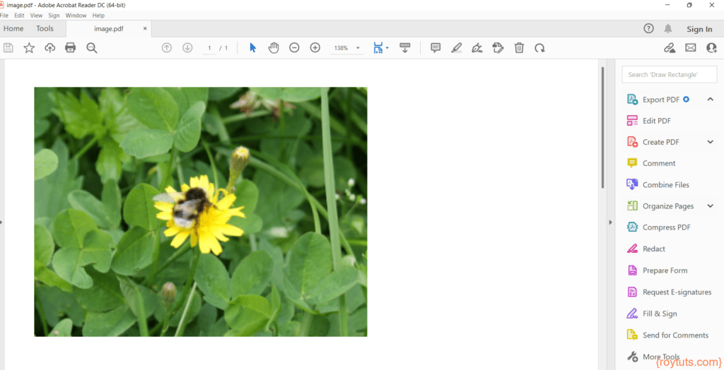 add images to pdf